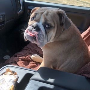 Meet your Posher, Laura